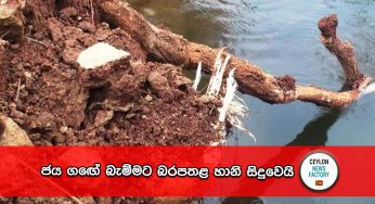 ජය ගඟේ බැම්මට බරපතළ හානි සිදුවෙයි – ජන ජිවිත අනතුරේ (PHOTOS)