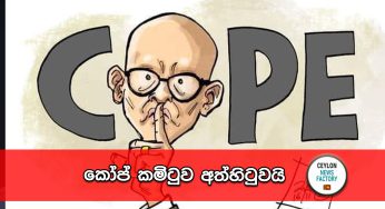 කෝප් කමිටුව අත්හිටුවයි !