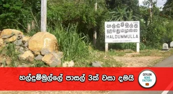 හල්දුම්මුල්ලේ පාසල් 3ක් වසා දමයි !