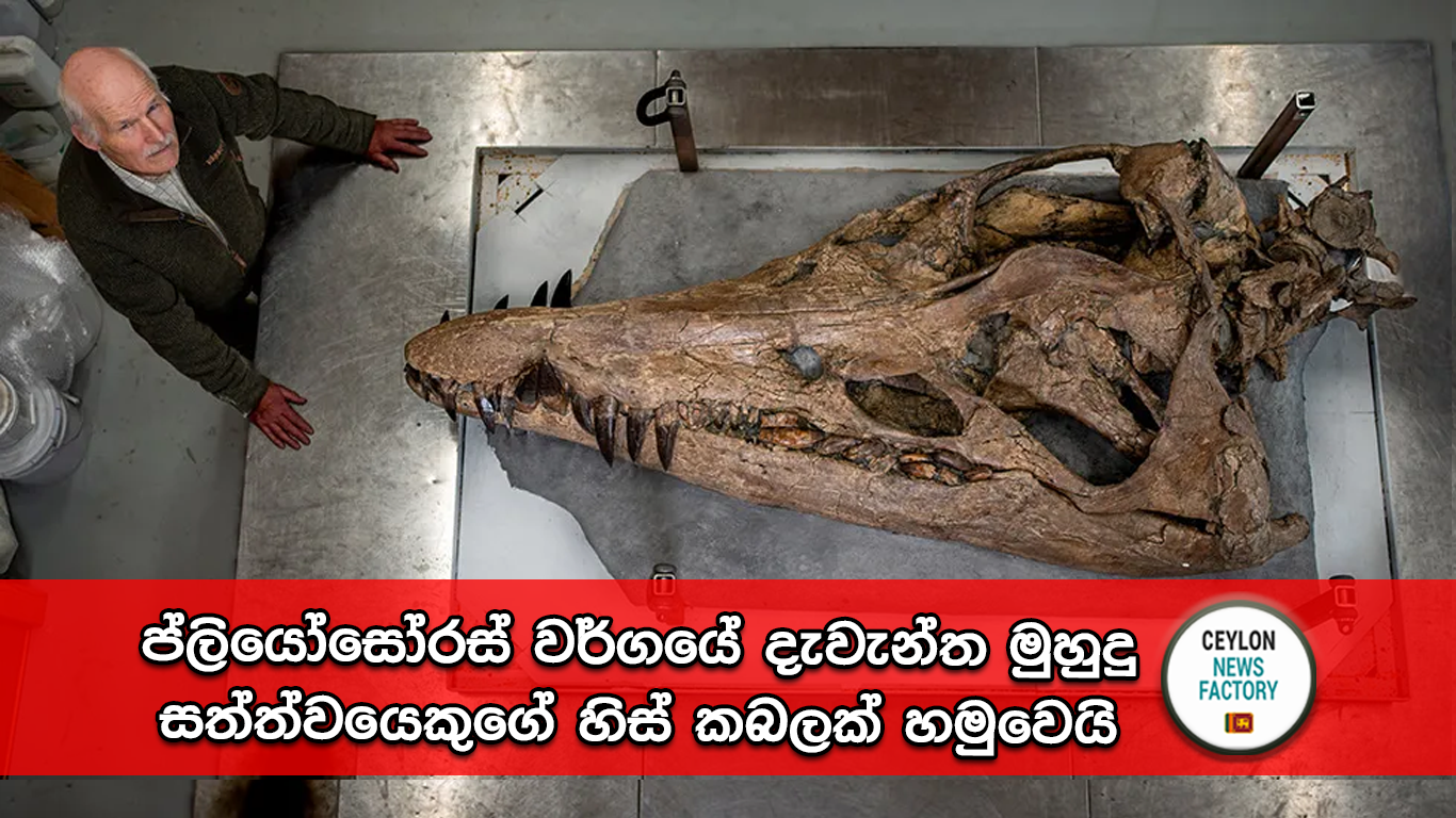 ප්ලියෝසෝරස්