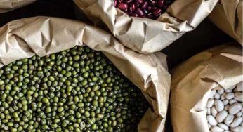 භාණ්ඩ කිහිපයක විශේෂ වෙළෙඳ භාණ්ඩ බදු ඉහළට – ඉහළ ගිය බදු ප්‍රමාණ මෙන්න !
