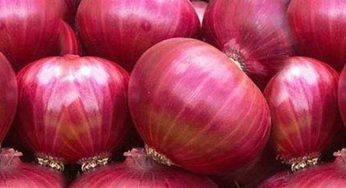 ලොකු ලූනු මිල ඉහළට – නව මිල ගණන් මෙන්න !