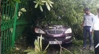 ගස් ජීවිත 7ක් බිලි ගනියි – දිවයින පුරා ගස් 2000ක් කඩා වැටිලා !