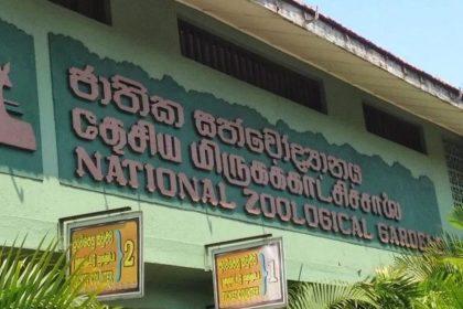 National-Zoo-Dehiwala