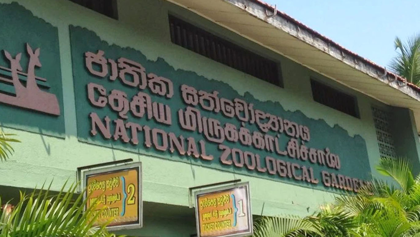 National-Zoo-Dehiwala