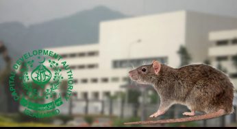 පාර්ලිමේන්තුවේ මීයන් ඇල්ලීමට මිලියන 1.2ක් වෙන් කරයි !