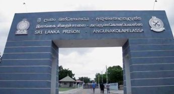 අඟුණුකොලපැලැස්ස බන්ධනාගාරයෙන් පලා ගිය සිරකරුවන් සිව් දෙනාගෙන් දෙදෙනෙකු අත්අඩංගුවට !