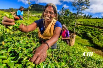 උඩරට දෙමළ