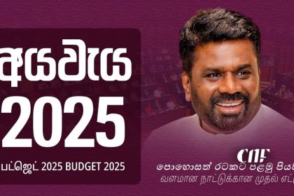 Budget 2025