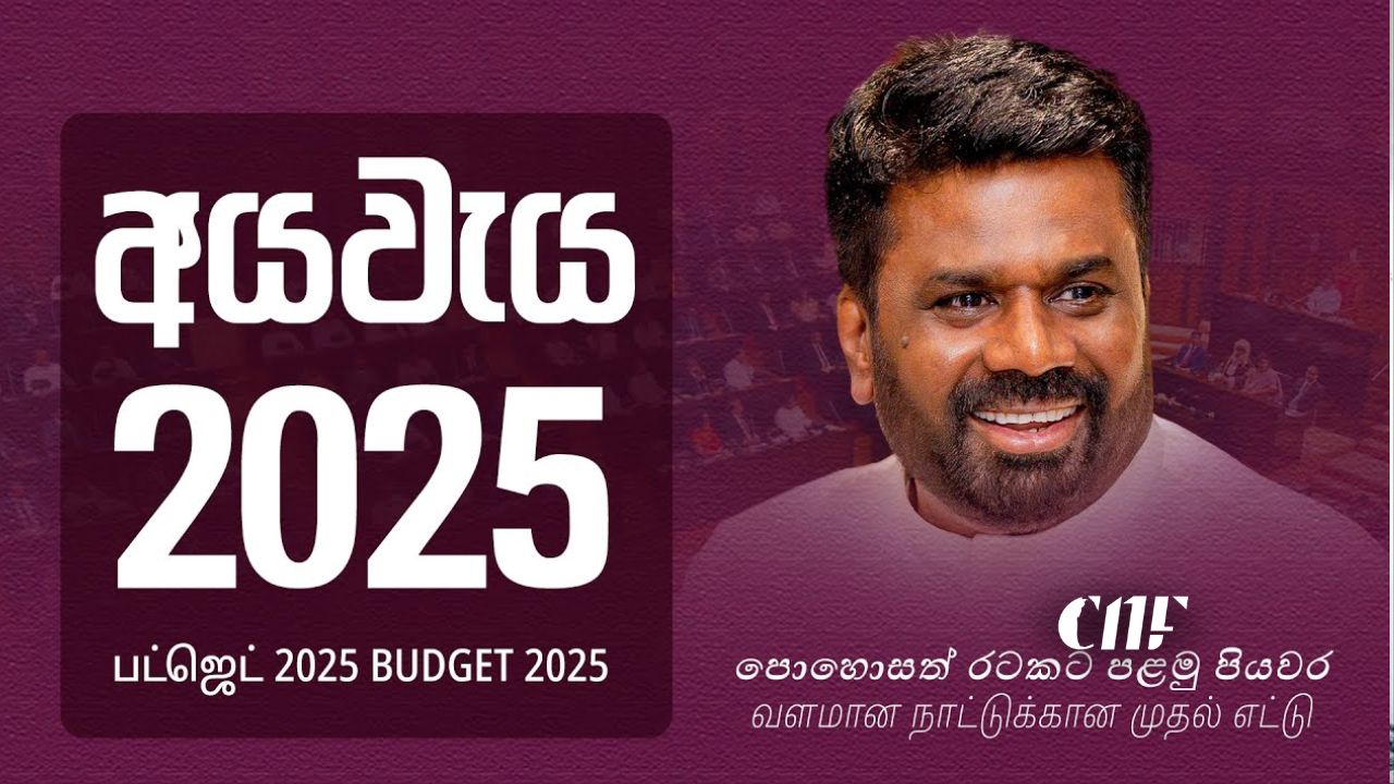 Budget 2025