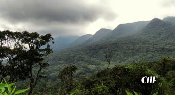 වනජීවි හා වන සංරක්ෂණ දෙපාර්තමේන්තුවලට අයත් භූමි ප්‍රදේශ නිදහස් කිරීම සම්බන්ධයෙන් විමර්ශන!