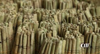 බීඩියක මිල ඉහළ යයි – නව මිල මෙන්න!
