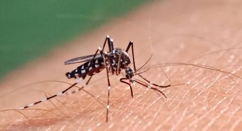ඩෙංගු සහ චිකුන් ගුන්යා රෝගින්​ගේ වැඩිවීම​ක් – සෞඛ්‍ය අංශ වලින් අනතුරු ඇඟවීම්!