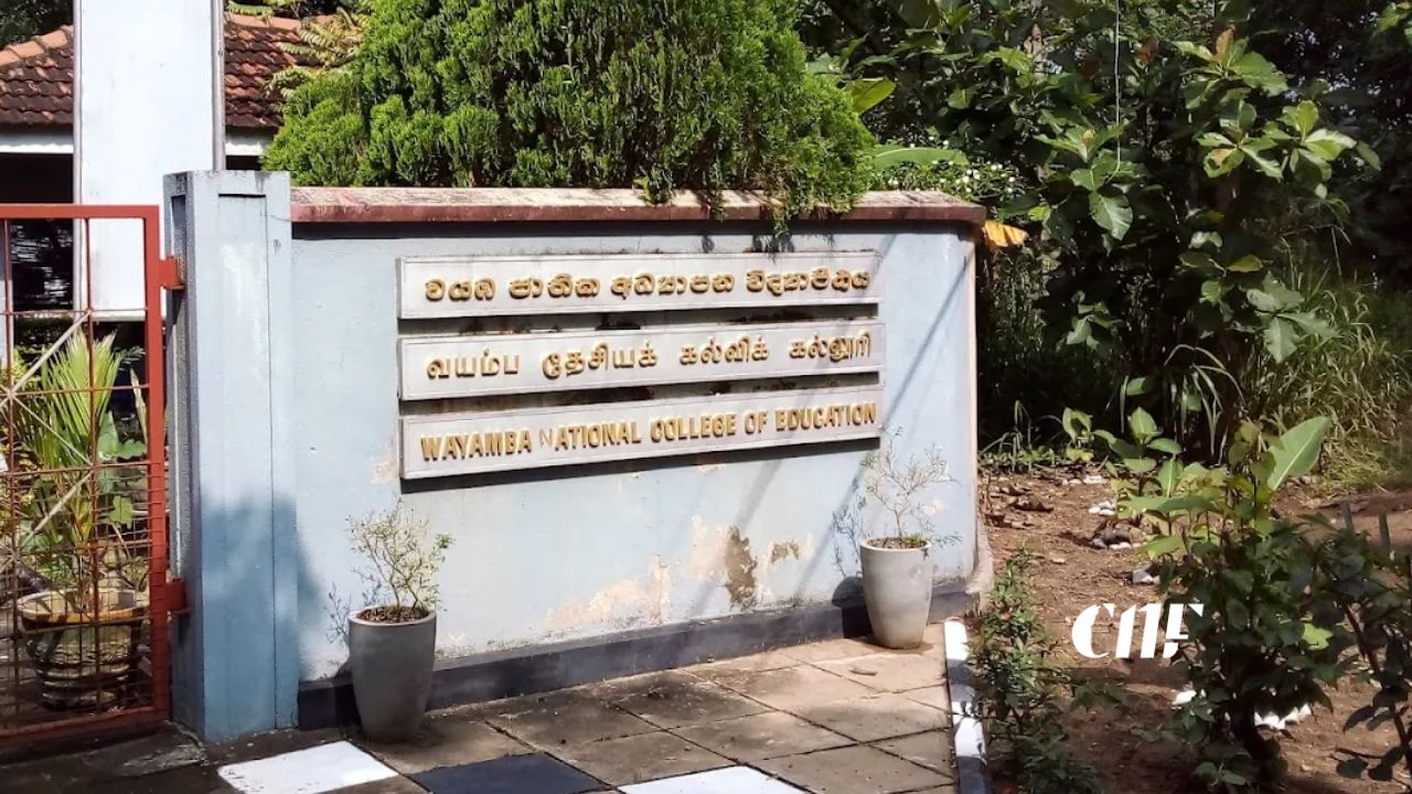 වයඹ ජාතික අධ්‍යාපන විද්‍යාපීඨය