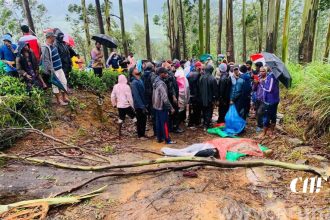 ගසක අත්තක් හිස මතට කඩා වැටීමෙන් පුද්ගලයෙක් ජීවිතක්ෂයට!